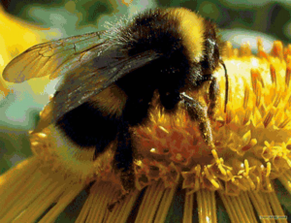 Пчелка - предпросмотр