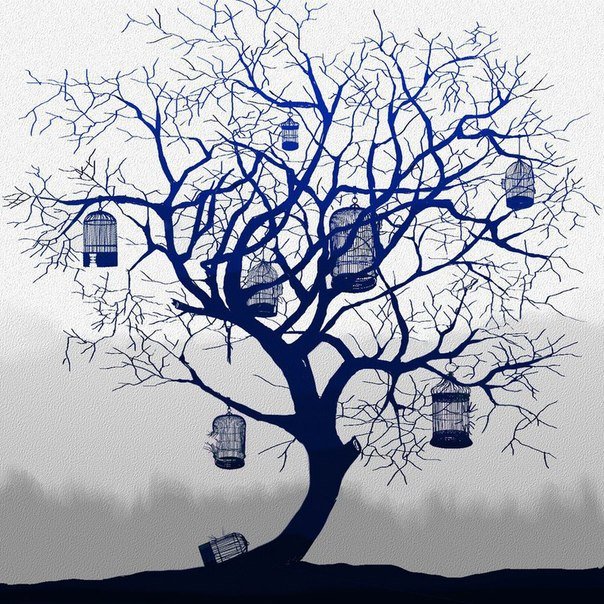 Свобода - птицы - оригинал