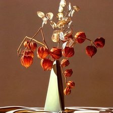 Схема вышивки «Физалис»