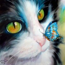 котя с бабочкой 2