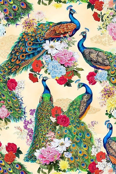 Quynh - công - оригинал