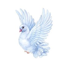 Схема вышивки «голубь»