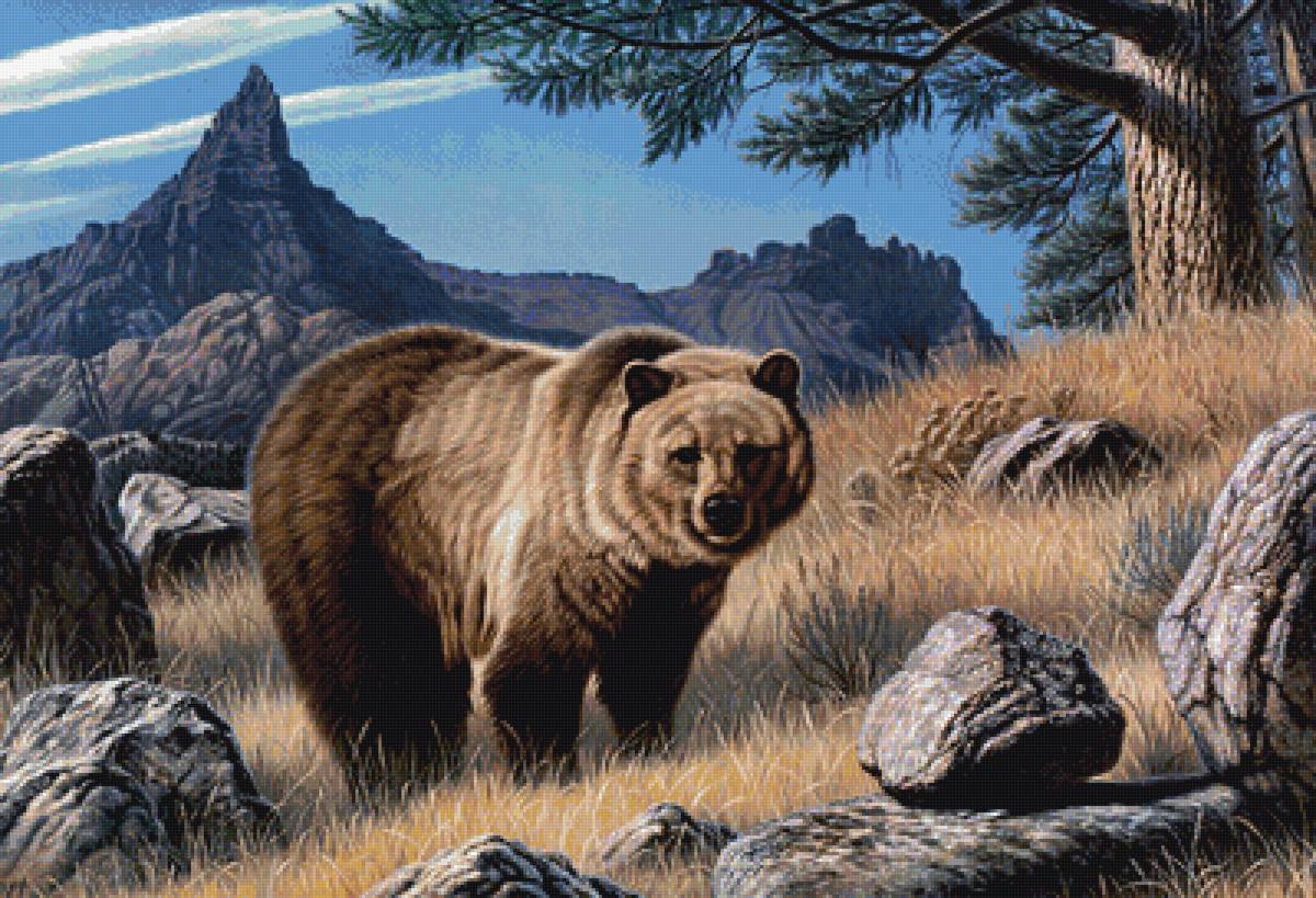 миша - предпросмотр