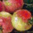 Предпросмотр схемы вышивки «zátišie,ovocie» (№1340224)