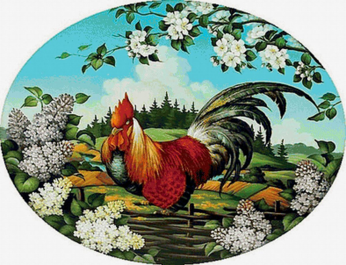 kohút na plote - предпросмотр