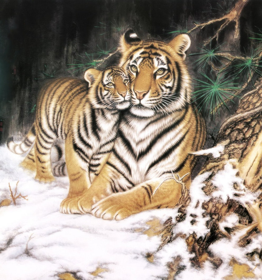 №1341037 - тигры, хищники, тигр, животные - оригинал