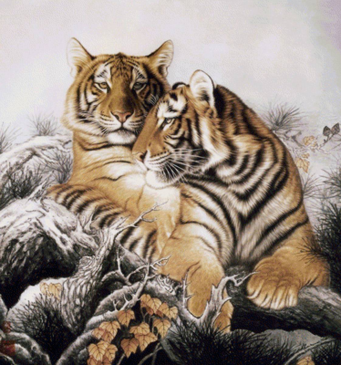 №1341040 - хищники, тигры, тигр, животные - предпросмотр