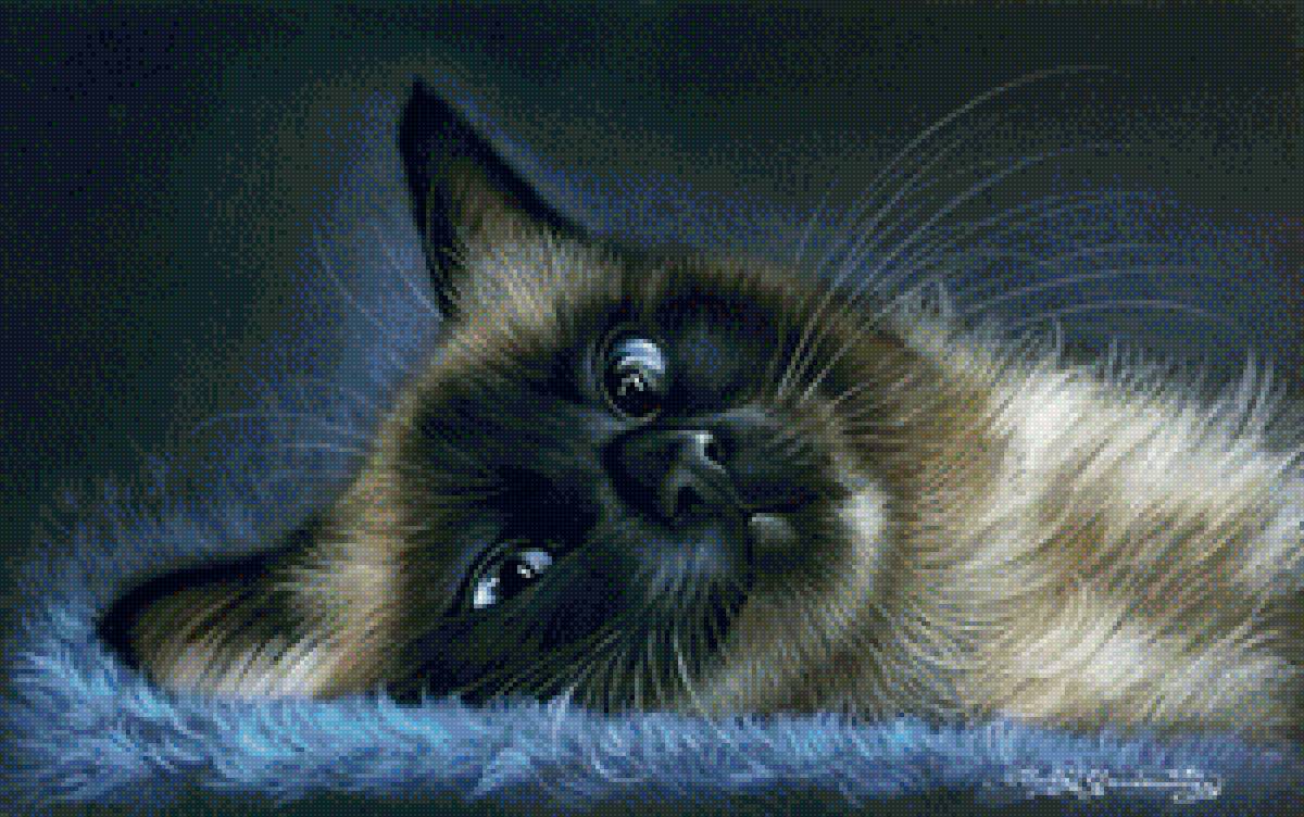 киса - кошки - предпросмотр