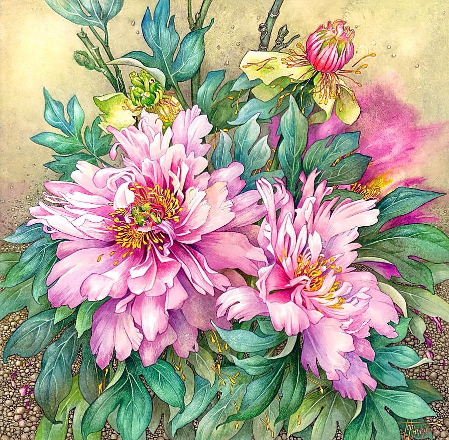 худ. Горнева Галина. Розовые пионы. - живопись., цветы. пионы - оригинал