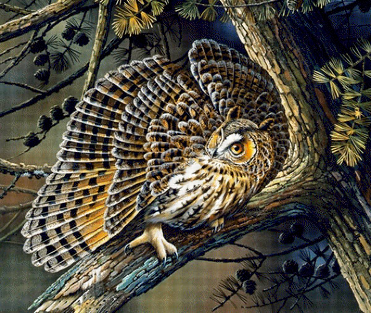 №1342111 - совы, птицы - предпросмотр