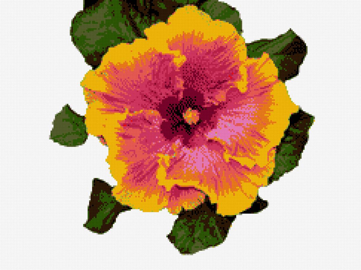 Гибискус - цветы - предпросмотр