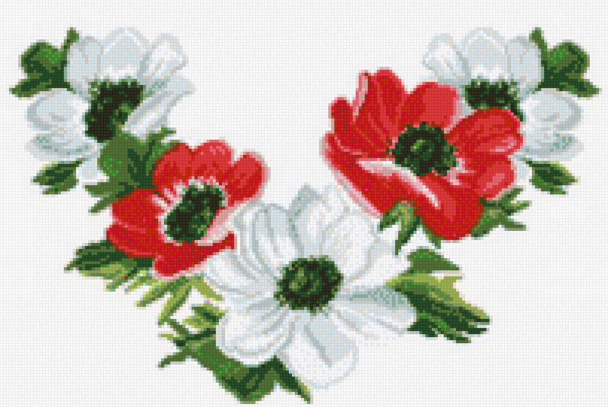 анемоны 2 - цветы - предпросмотр
