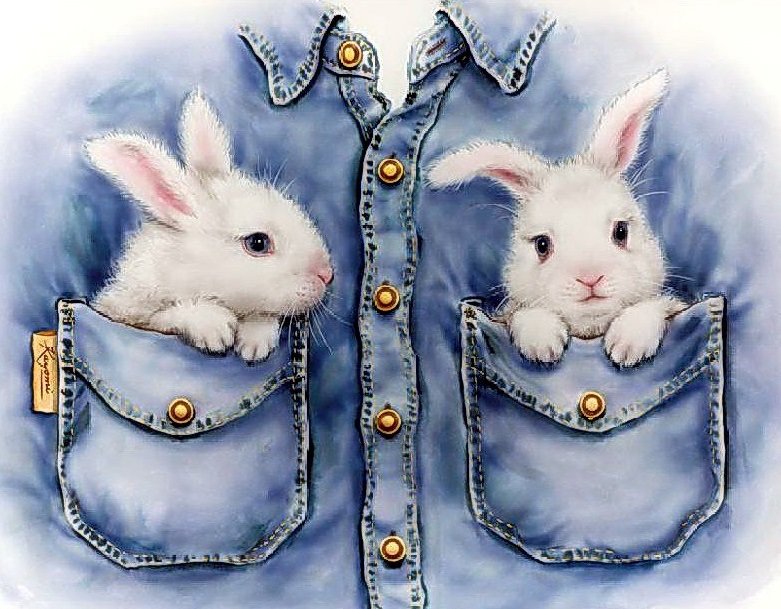 Зайчата в кармашках - животные - оригинал