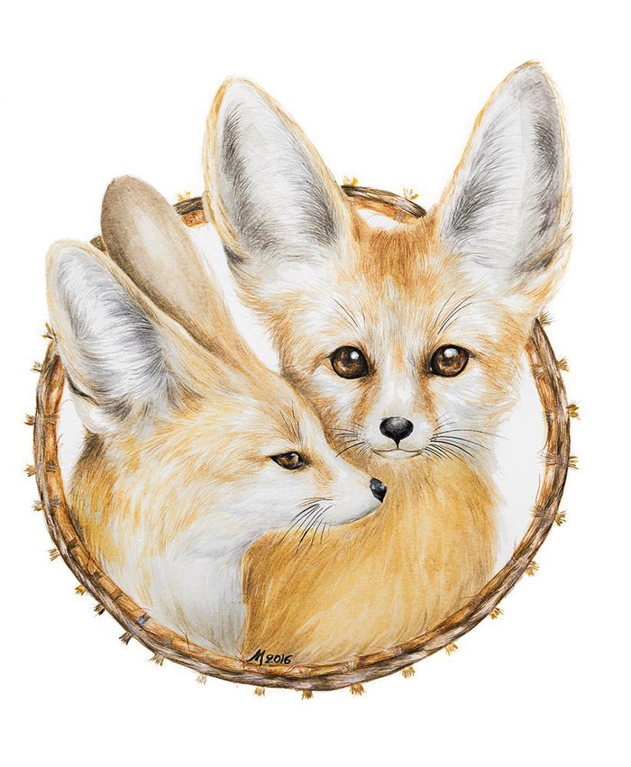 Ушастики - животные, лиса - оригинал