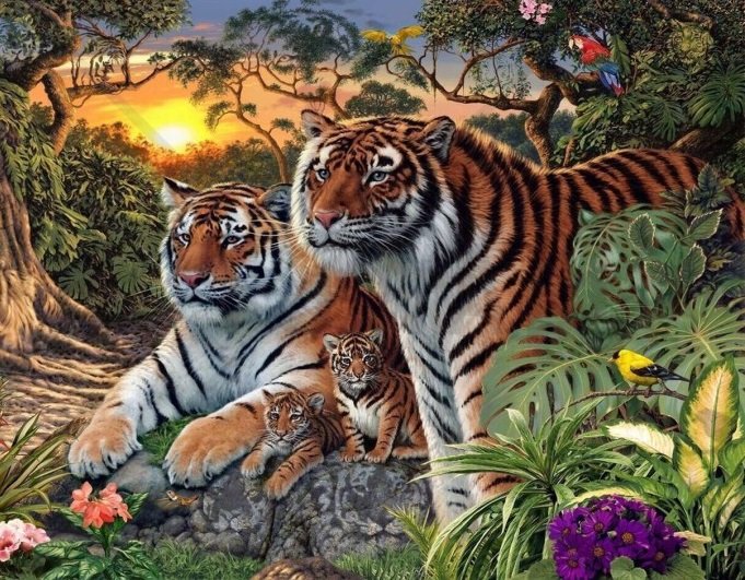 Тигры с тигрятами - тигрята, звери, тигры - оригинал