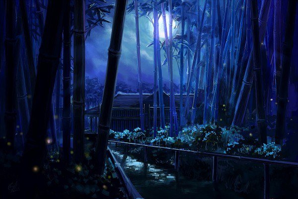 Ночь в бамбуковом лесу - ночь, бамбук, природа - оригинал
