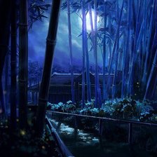 Ночь в бамбуковом лесу