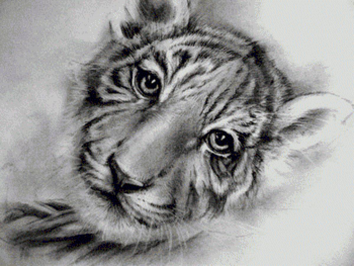 тигруша - предпросмотр