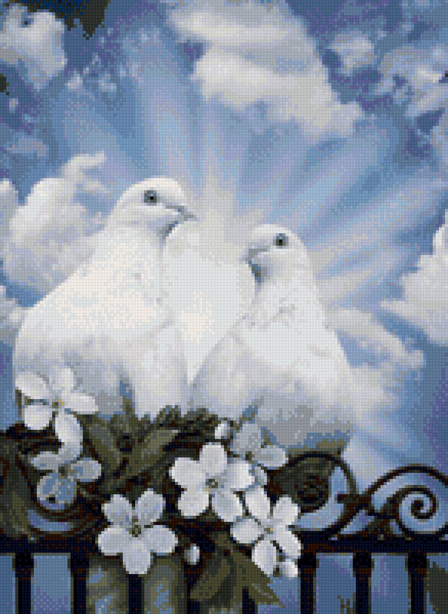 голуби - голуби - предпросмотр