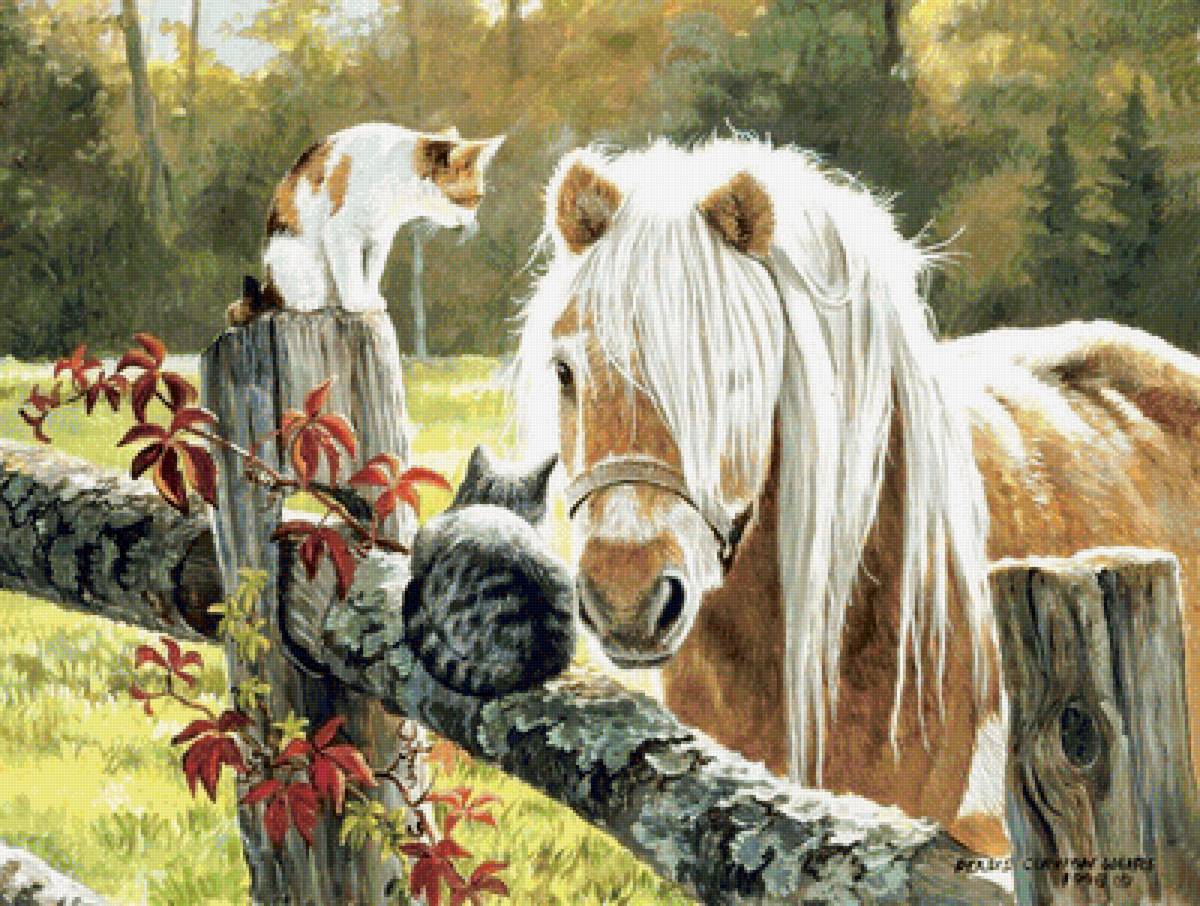 дружба - предпросмотр