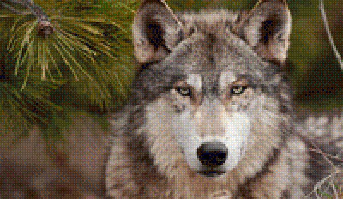 Страж леса - волк природа звери - предпросмотр