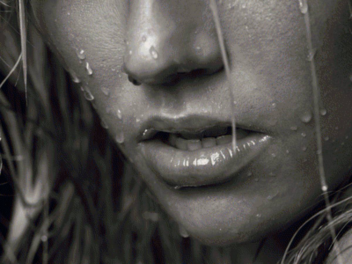 губки - предпросмотр