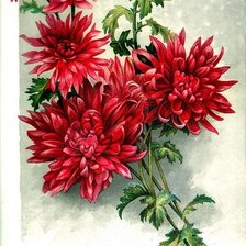 Схема вышивки «цветы»