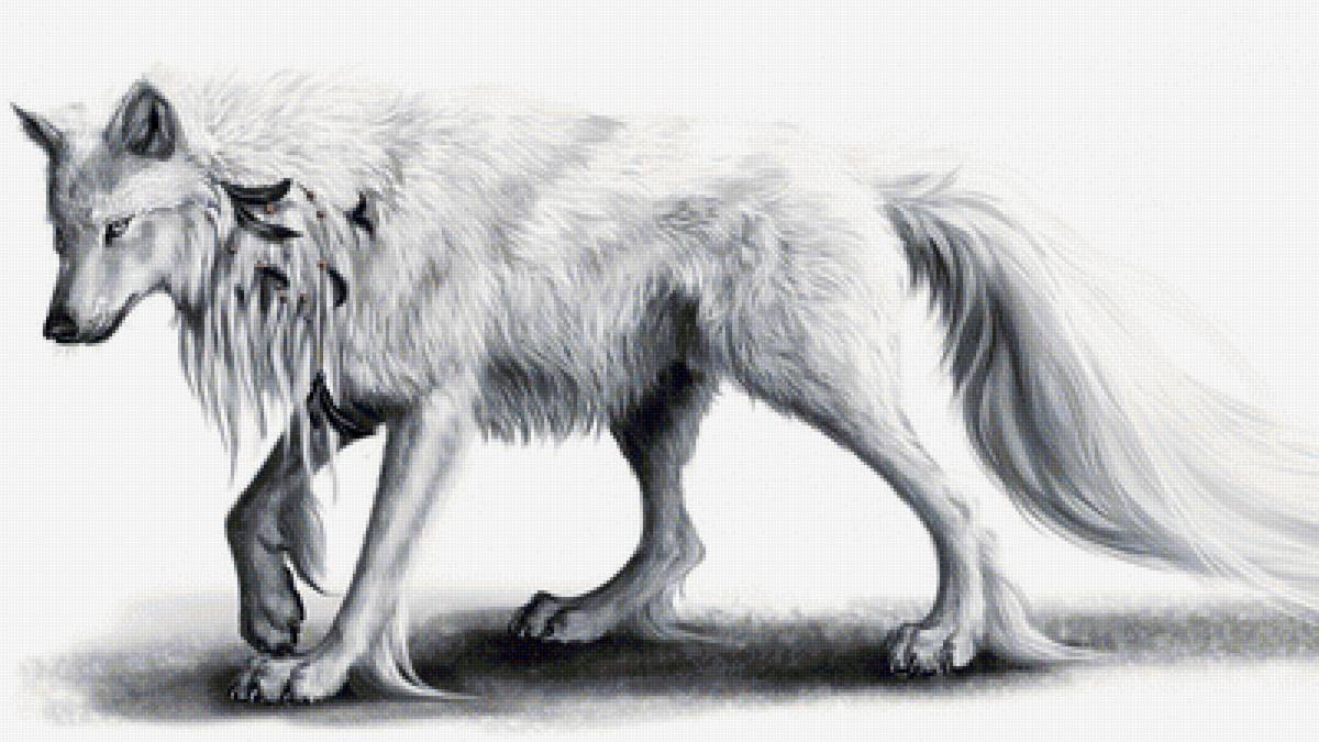 Волк - животные - предпросмотр