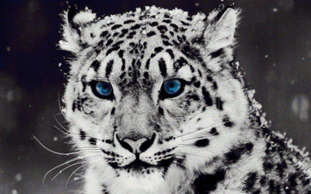 Snow leopard - предпросмотр