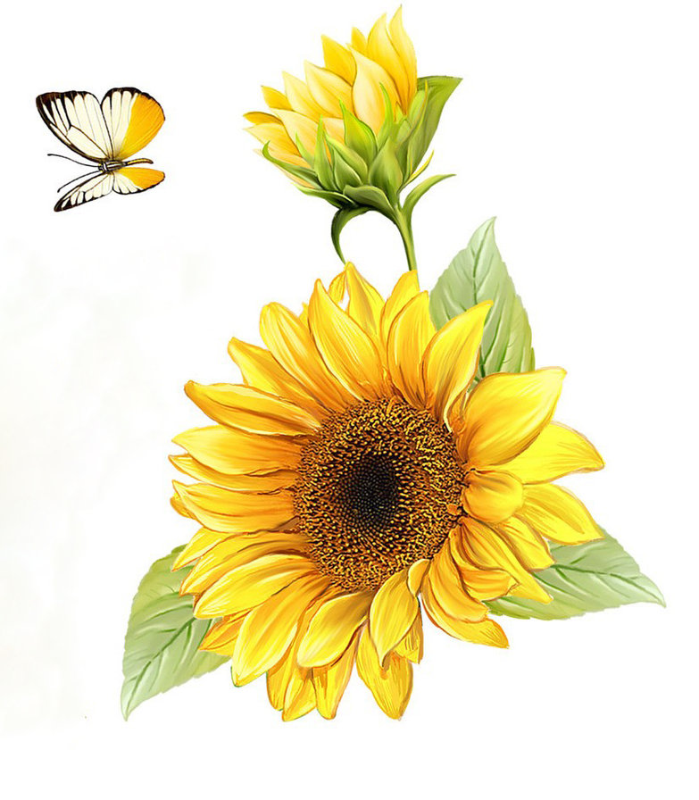 №1345422 - цветы - оригинал