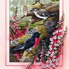 Схема вышивки «00321»