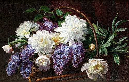 pivonie,orgován - оригинал