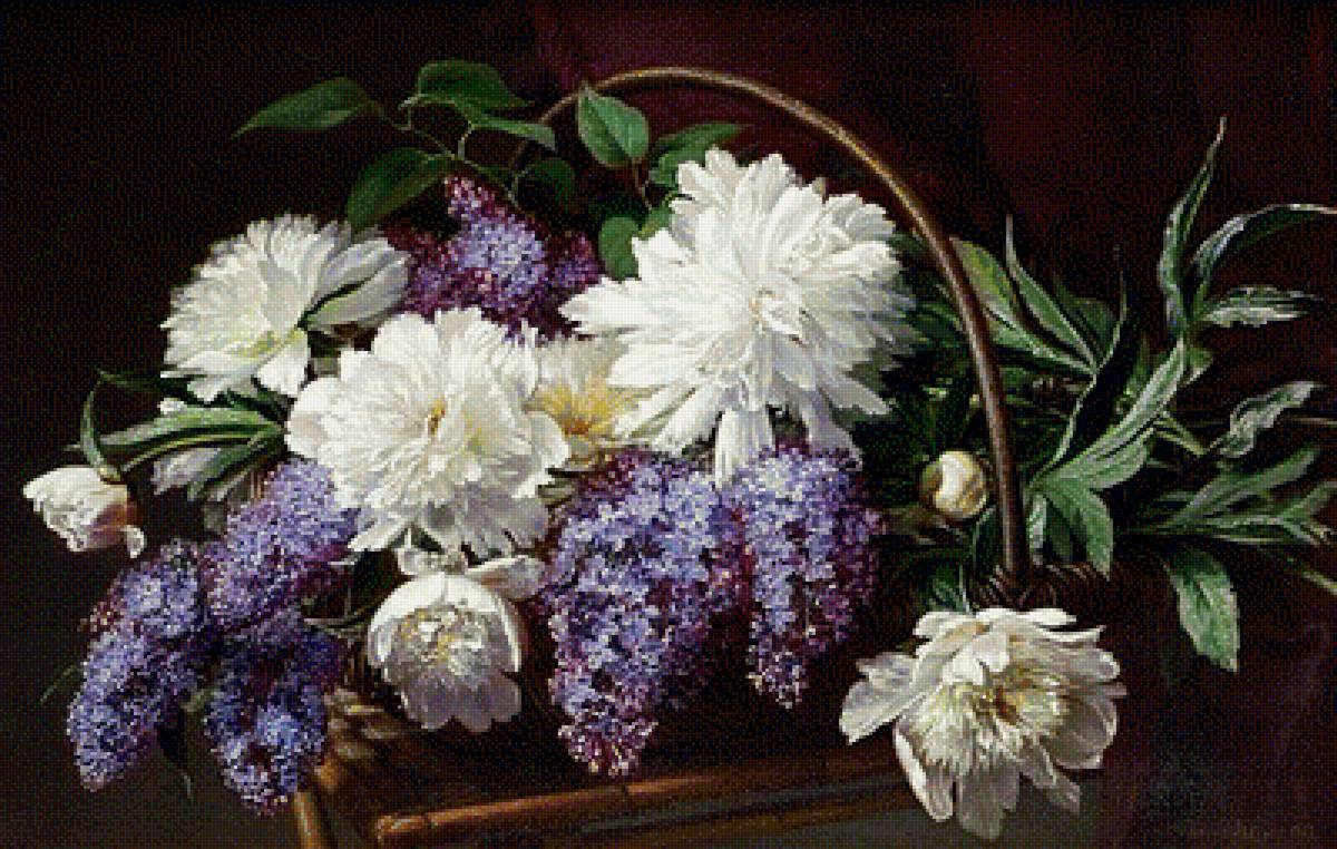 pivonie,orgován - предпросмотр