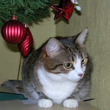 Схема вышивки «кошка под елкой»