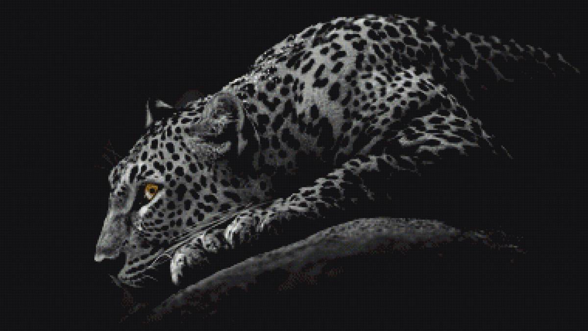 леопард - леопард - предпросмотр