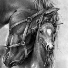 Лошадь с жеберенком