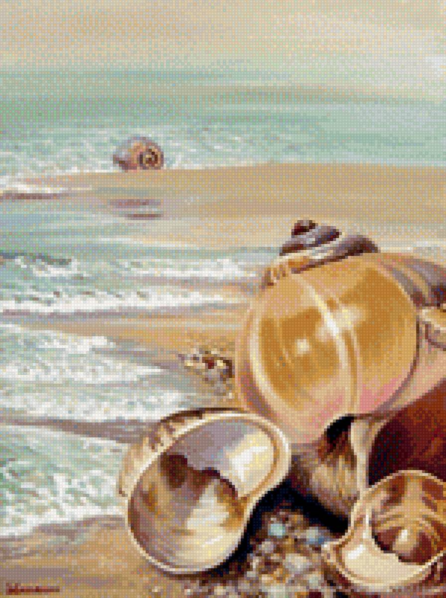 Ракушки на берегу - волны, берег, ракушки, лето, пляж - предпросмотр