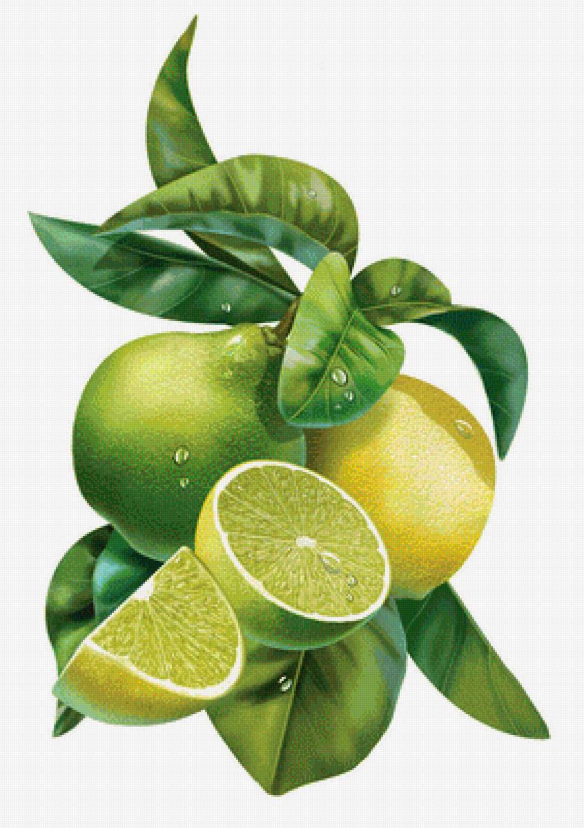 дары осени - предпросмотр