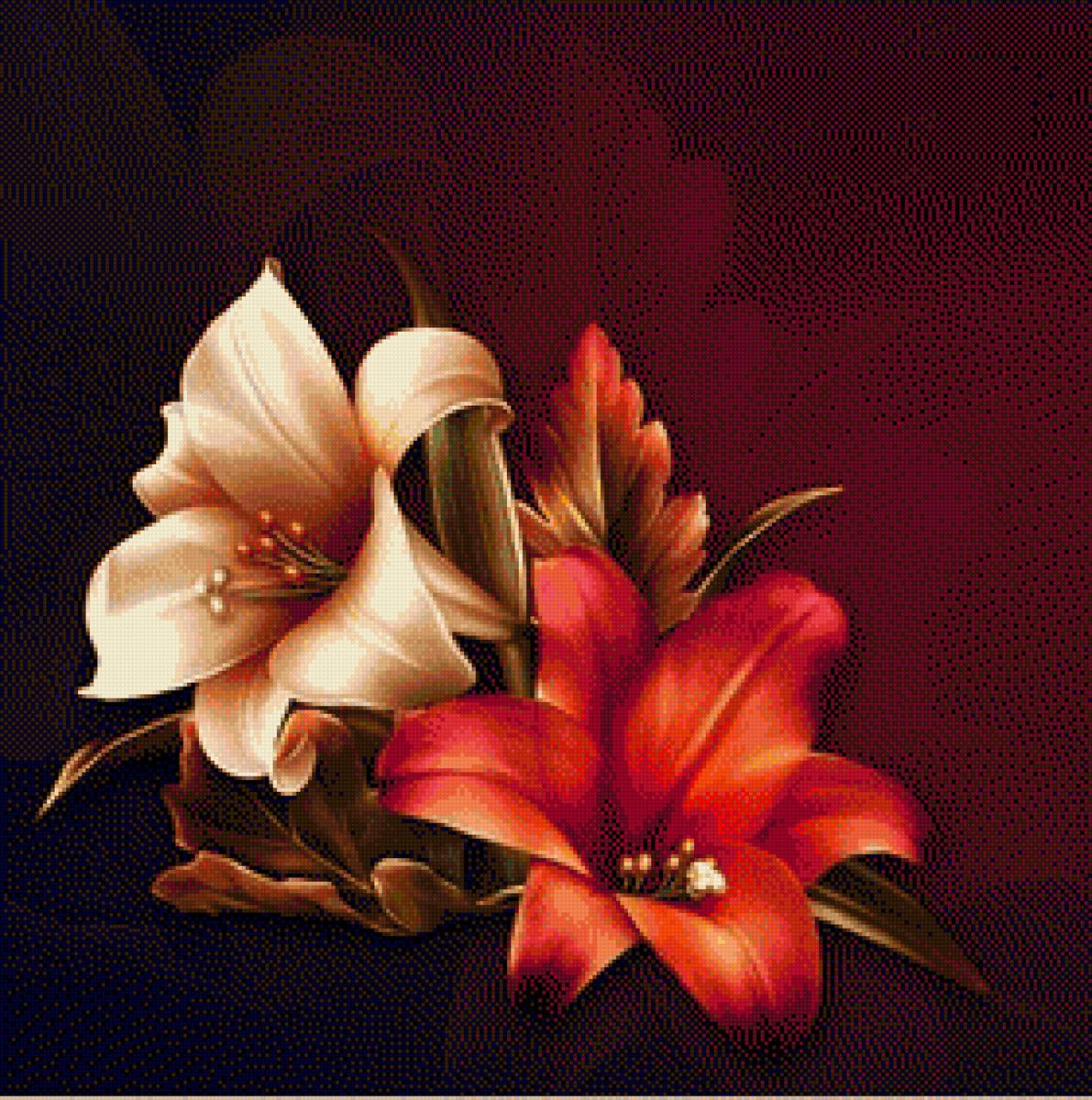 Quynh - hoa lys - предпросмотр