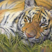 Схема вышивки «тигррррр»