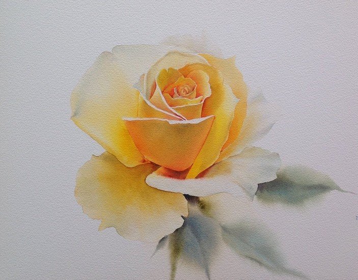 Желтая роза - роза, цветы - оригинал