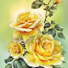 Схема вышивки «krásne žlté ruže»
