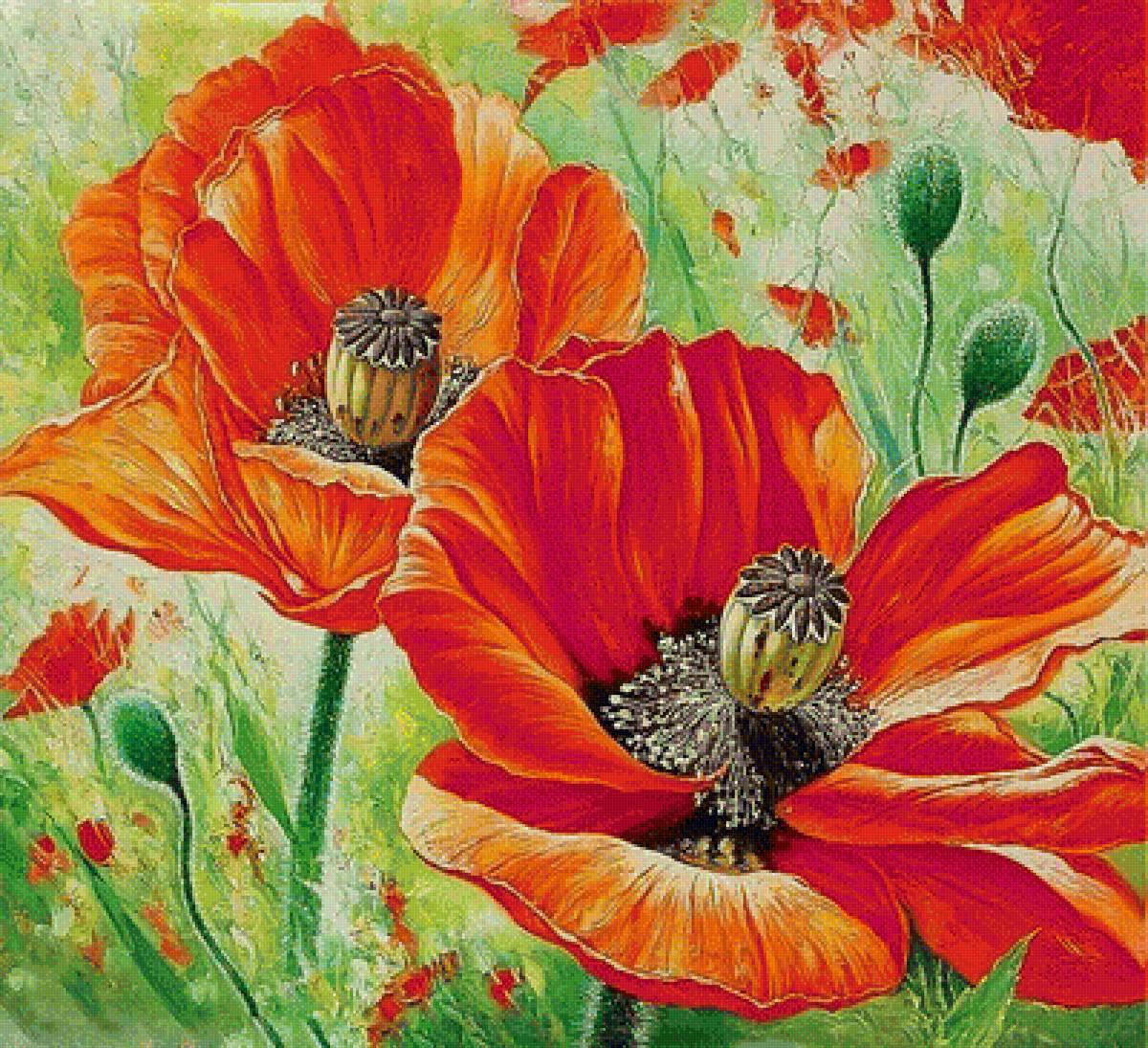 цветы - цветы, натюрморт, букеты, маки - предпросмотр