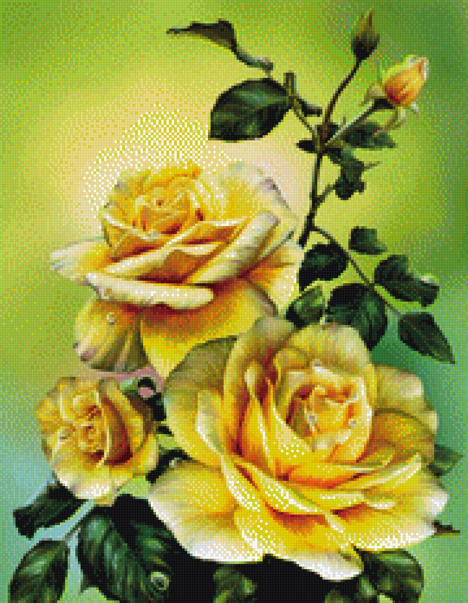 Розы мечты 1 - розы - предпросмотр