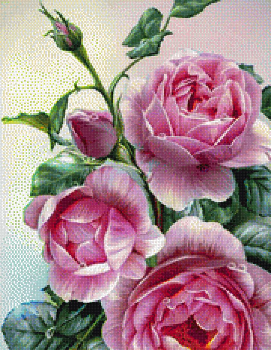 Розы мечты 3 - розы - предпросмотр