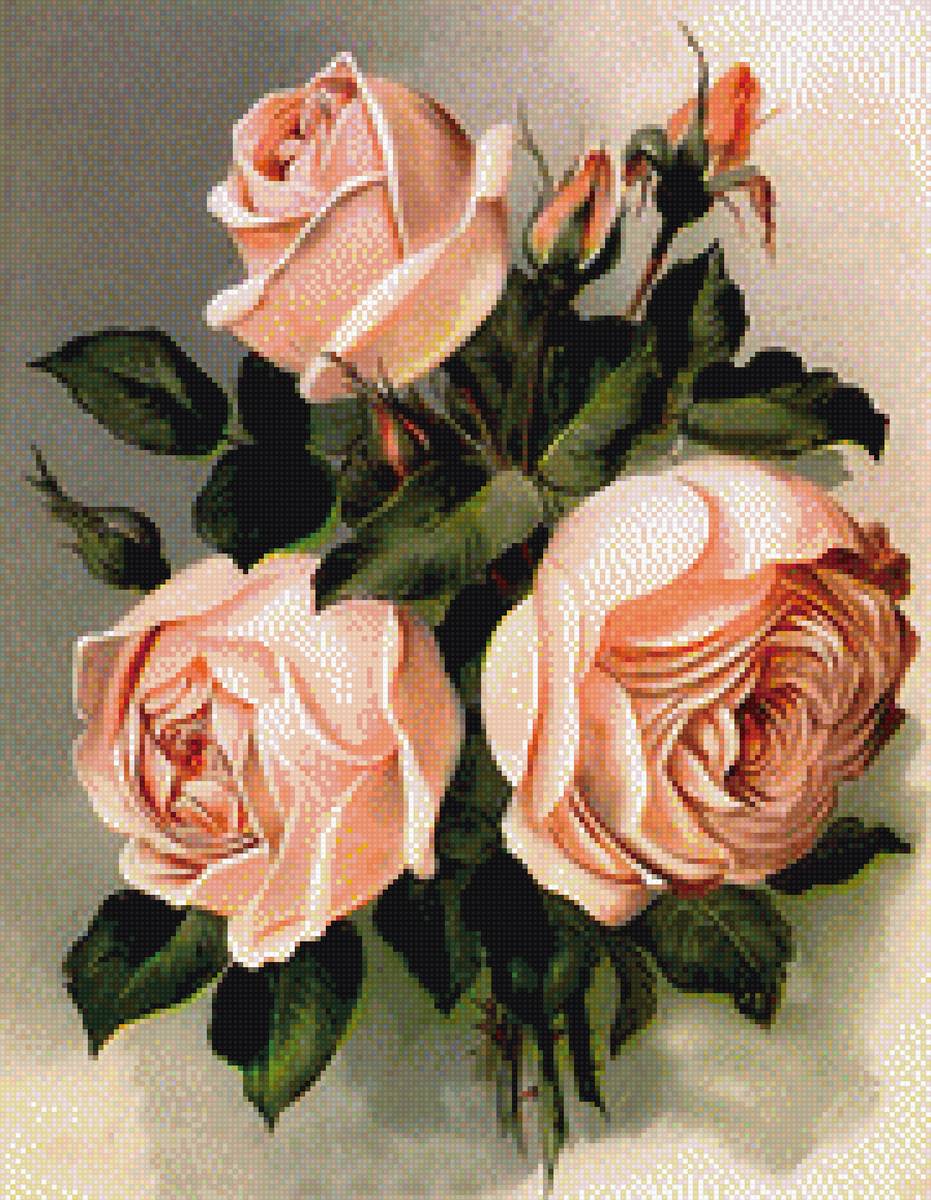 Розы мечты 2 - розы - предпросмотр