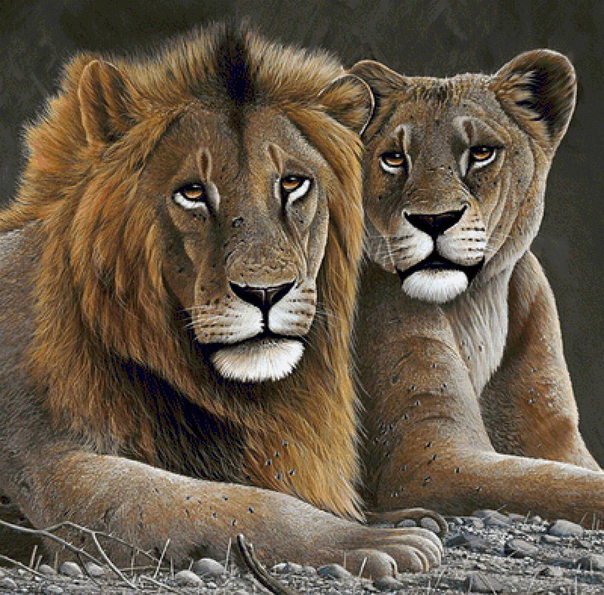 №1347715 - животные - предпросмотр