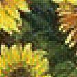 Предпросмотр схемы вышивки «подсолнухи» (№1348213)