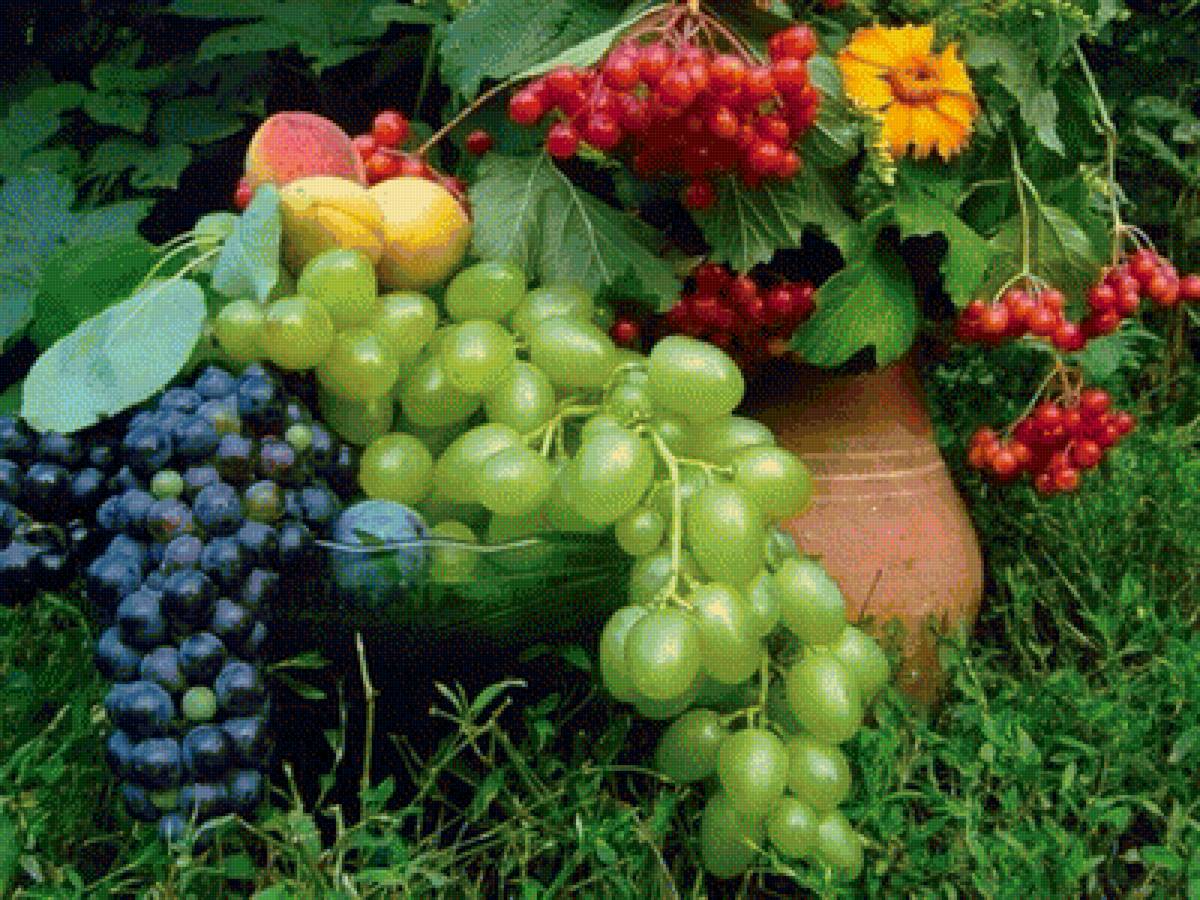 натюрморт2 - предпросмотр