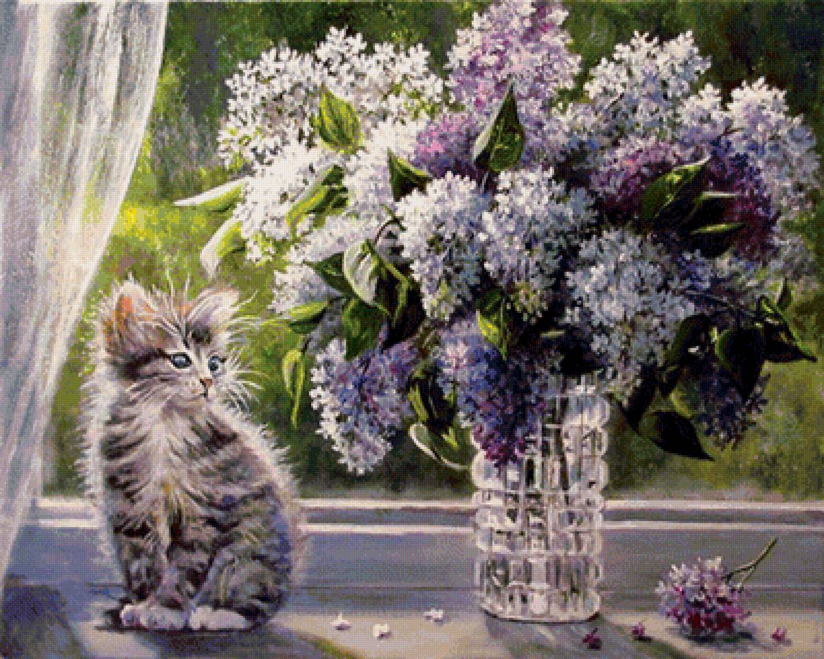 Котик и букет сирени - цветы, весна, котик - предпросмотр